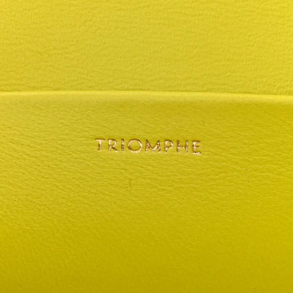 Superfake Celine Anis Triomphe Bag – Gold Hardware & Calfskin Leather - Image 8