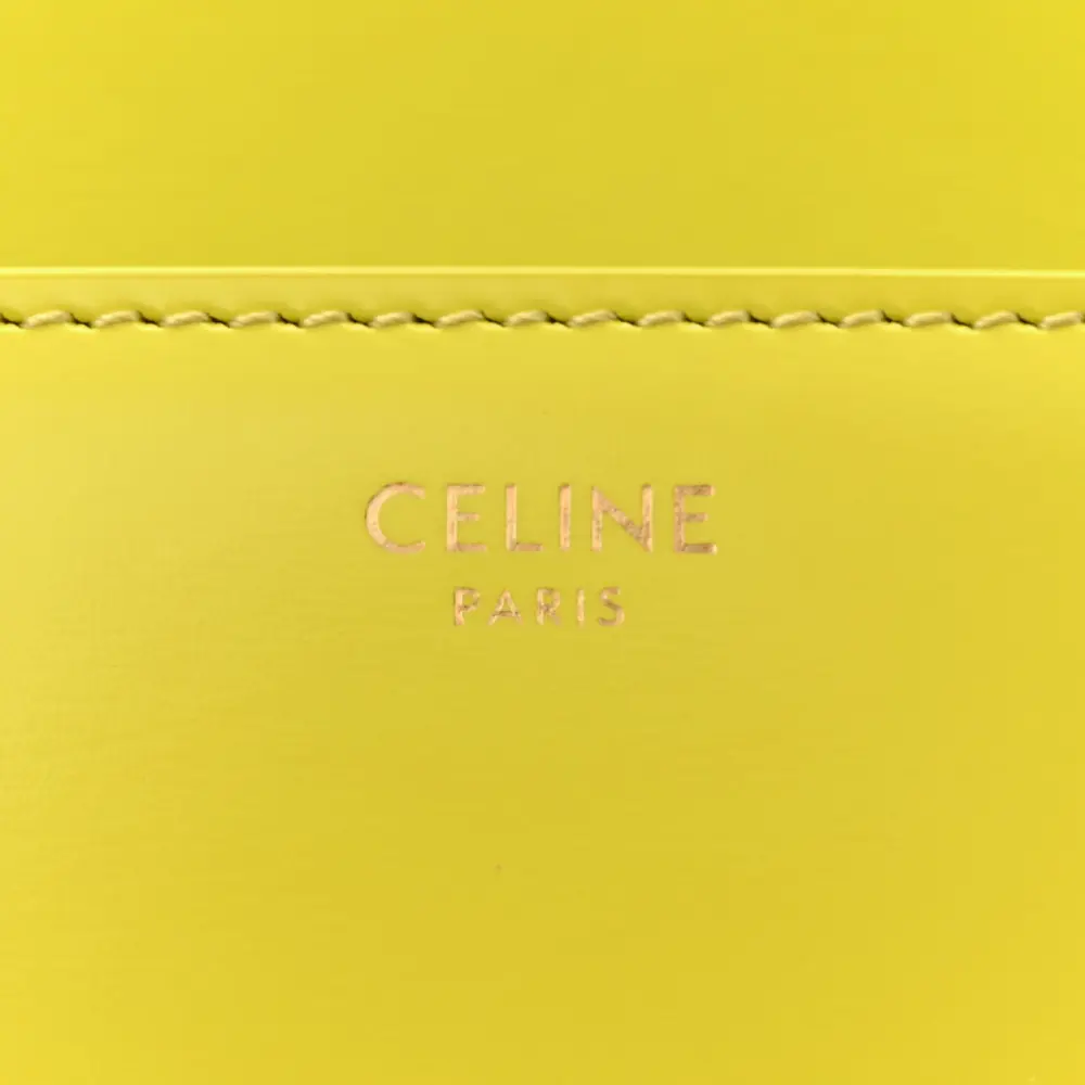 Superfake Celine Anis Triomphe Bag – Gold Hardware & Calfskin Leather - Image 2
