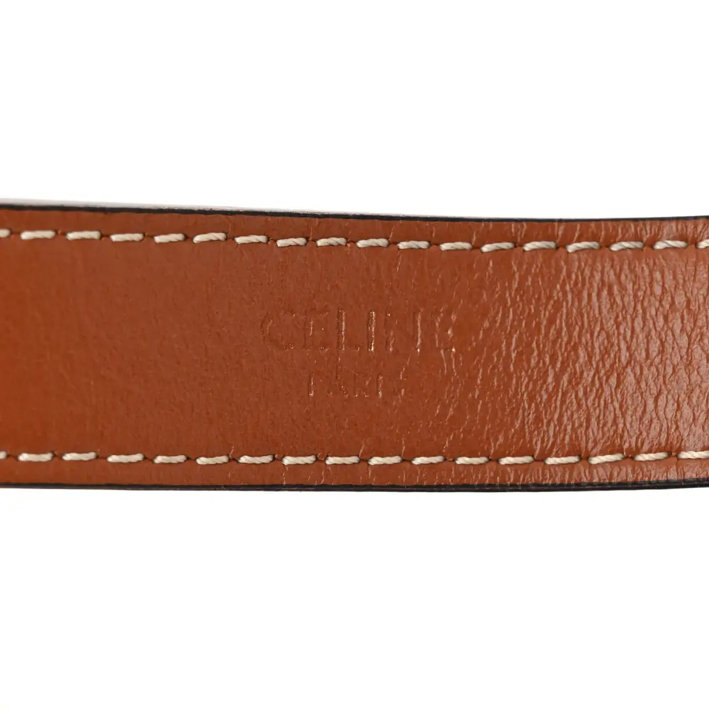 Celine Ava Triomphe Bag Replica with Gold Hardware - Image 2