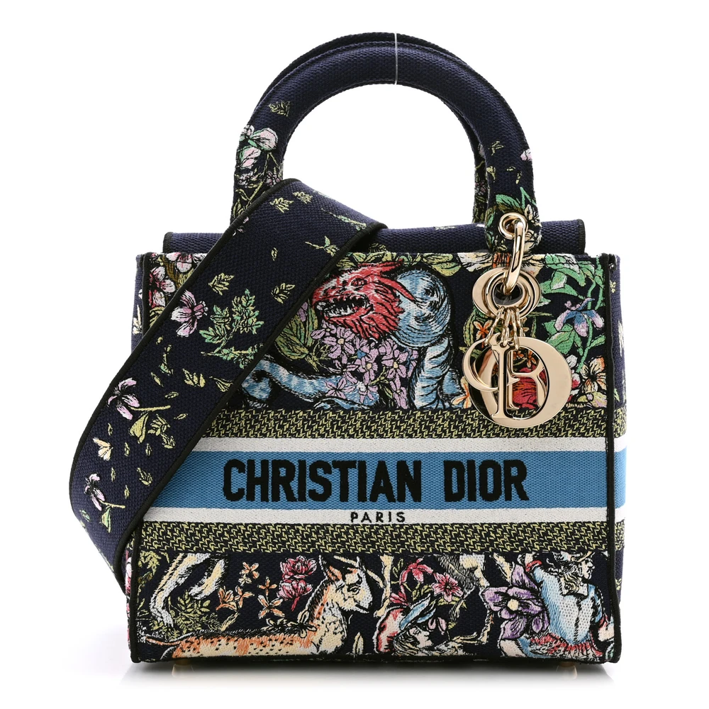 Dior Blue Multicolor Embroidered Canvas Medium D-Constellation Lady D-Lite Gold Hardware Front Replica handbags