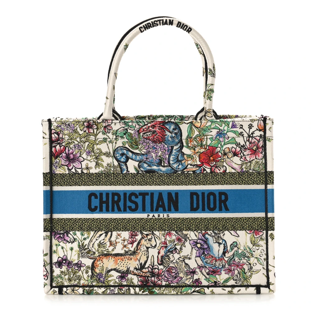 Dior Latte Multicolor Embroidered Canvas Medium D-Constellation Book Tote Front Dior Latte Multicolor Embroidered Canvas Medium D-Constellation Book Tote Front Replica handbags