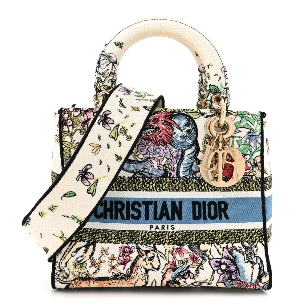 Dior Latte Multicolor Embroidered Canvas Medium D-Constellation Lady D-Lite Gold Hardware Front Replica handbags