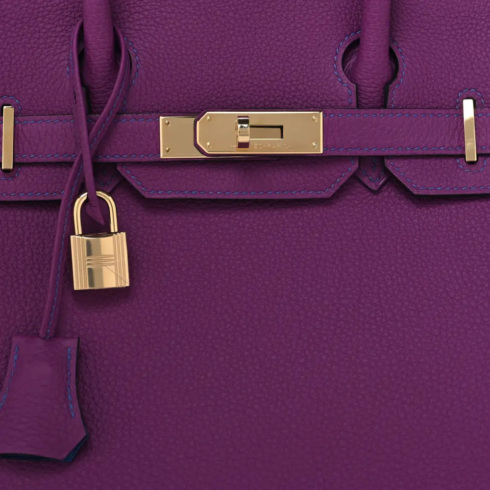 Hermès Anemone / Bleu Electrique Togo Leather Horseshoe Birkin 30 Gold Hardware High-end reps - Image 9