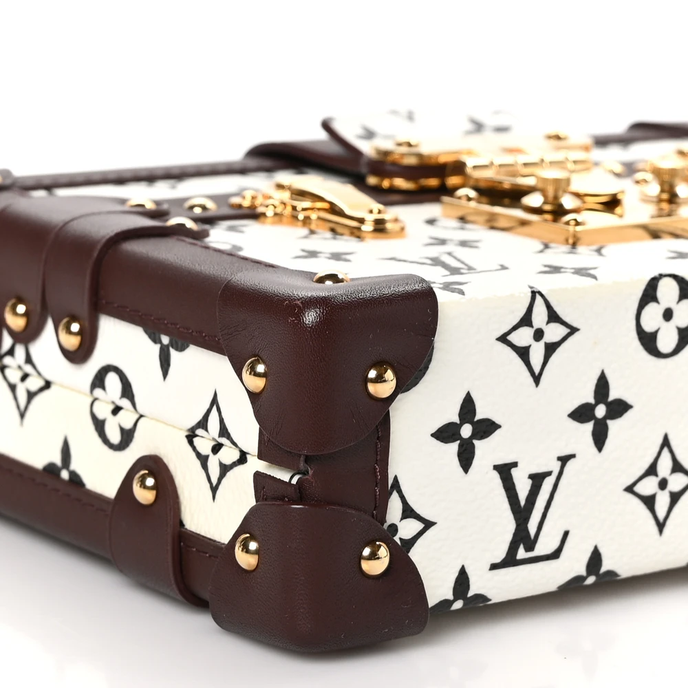 Louis Vuitton Petite Malle Reps - Premium Replicas for Less - Image 4