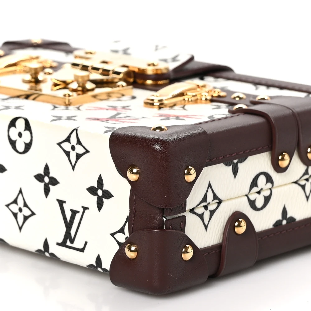Louis Vuitton Petite Malle Reps - Premium Replicas for Less - Image 5