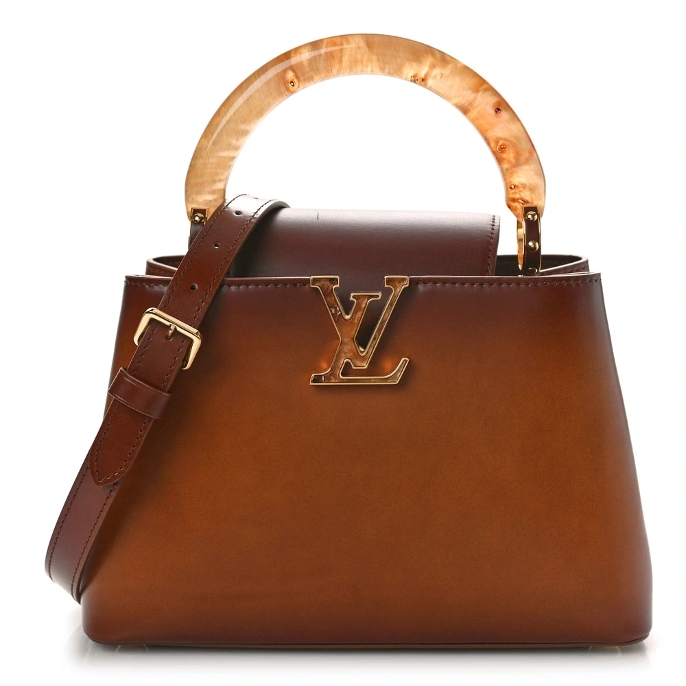 Louis Vuitton Smoked Tan Calfskin Leather & Resin Capucines BB Gold Hardware Front replica handbags